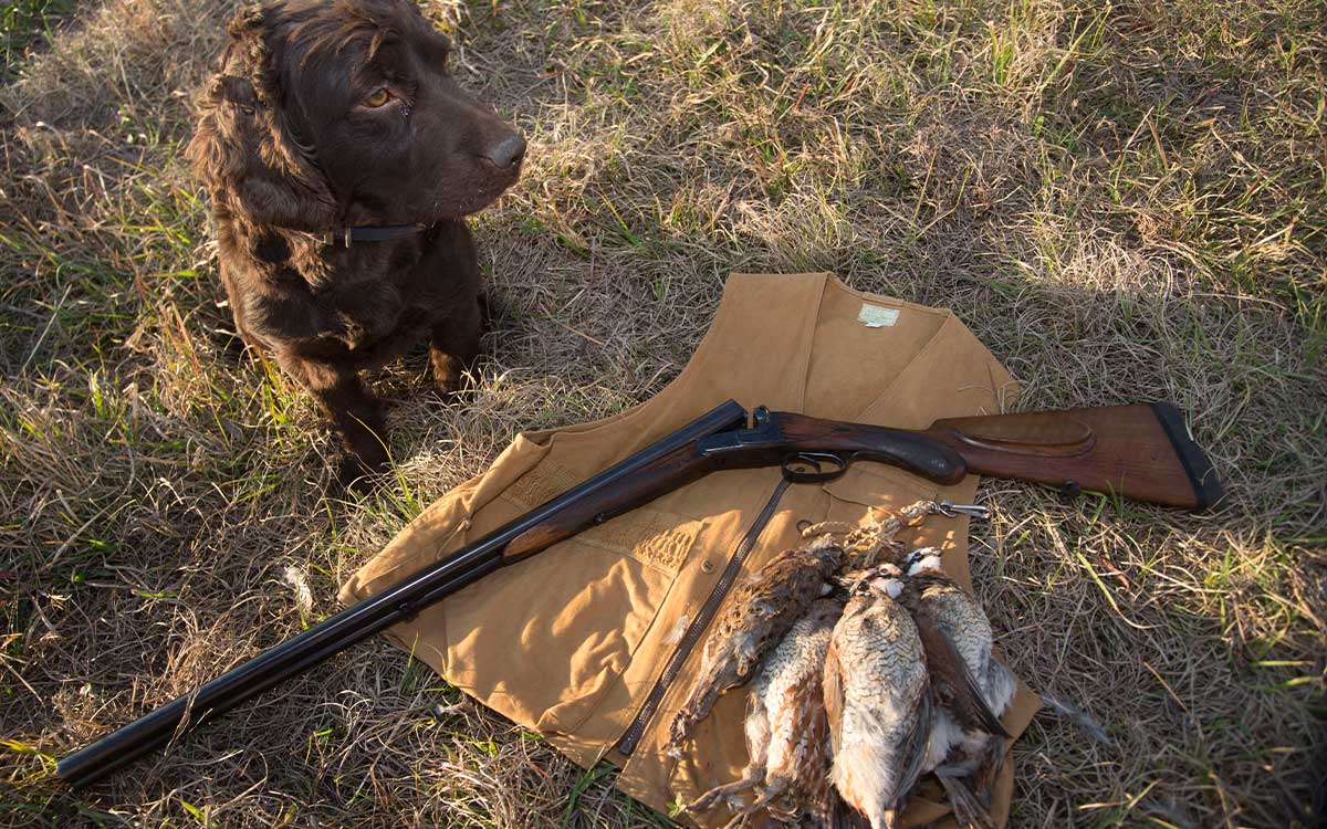 Duck Hunting in Louisiana | Covey Rise Lodge